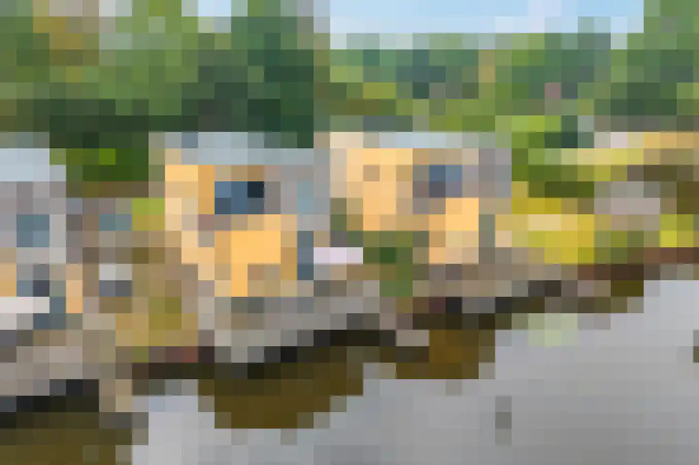 De Bloemert 1 105 Midlaren thumbnail 49