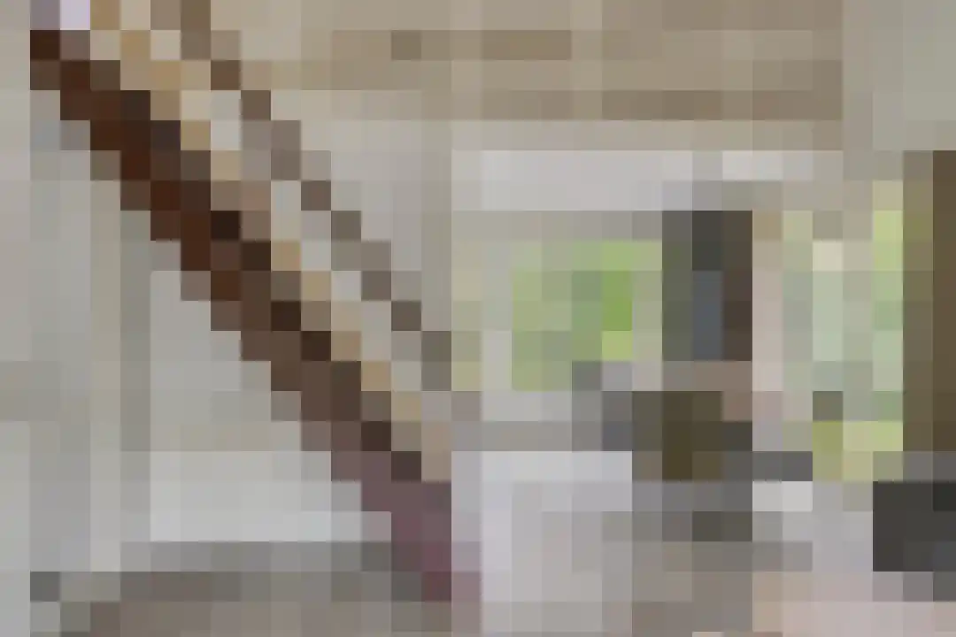 De Bloemert 1 17 Midlaren thumbnail 12