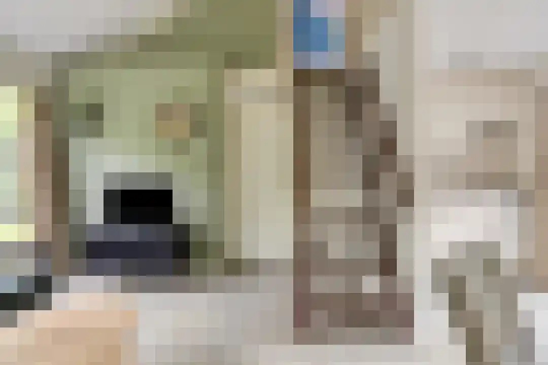 De Bloemert 1 17 Midlaren thumbnail 13