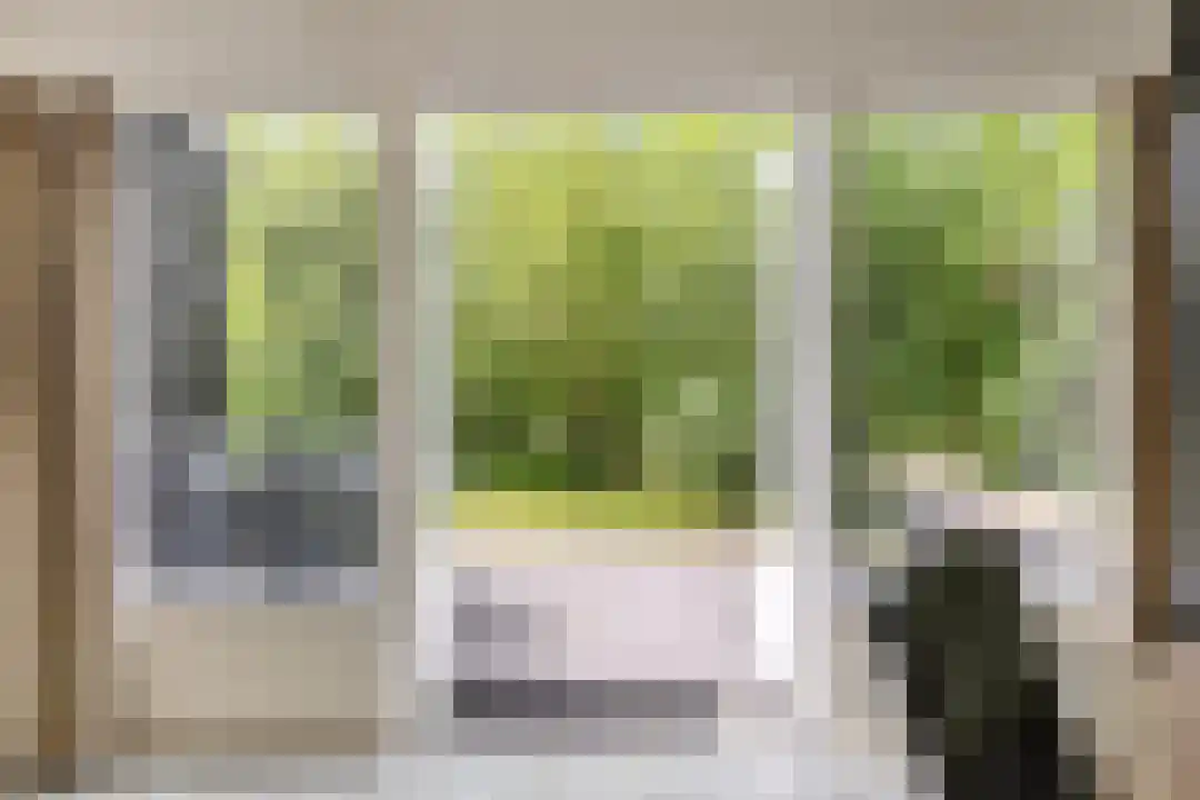 De Bloemert 1 17 Midlaren thumbnail 17