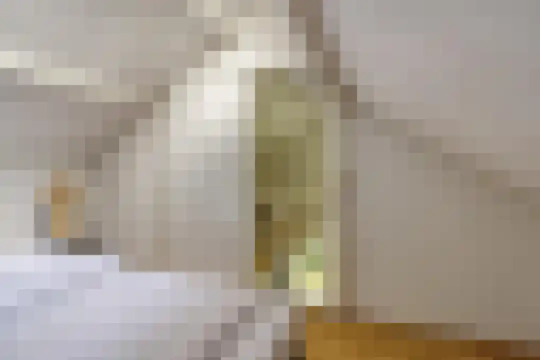 De Bloemert 1 17 Midlaren thumbnail 31