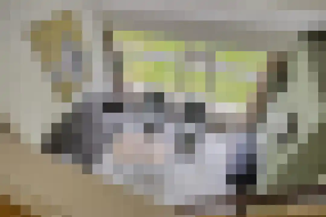 De Bloemert 1 17 Midlaren thumbnail 34