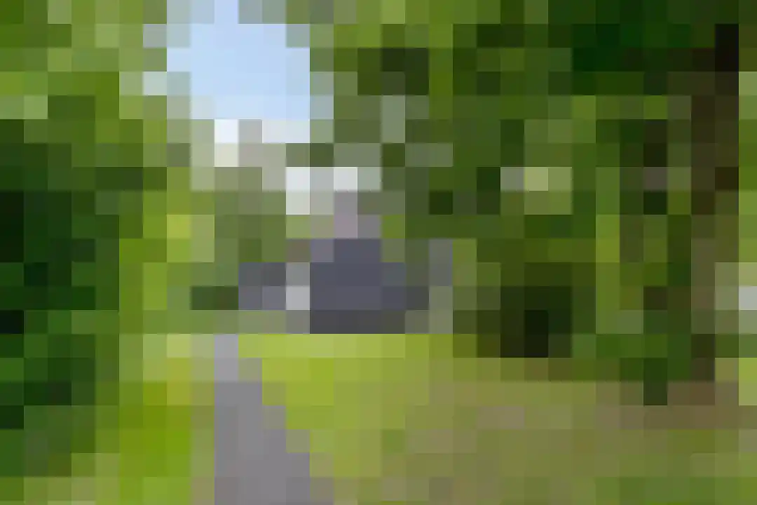 De Bloemert 1 17 Midlaren thumbnail 35