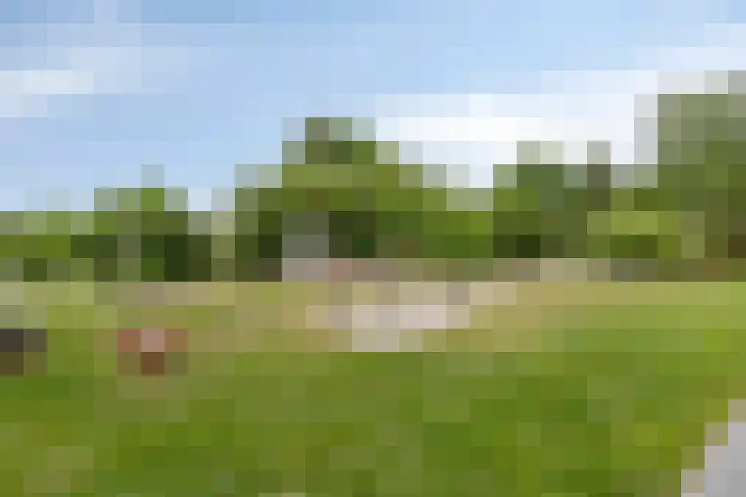 De Bloemert 1 17 Midlaren thumbnail 41