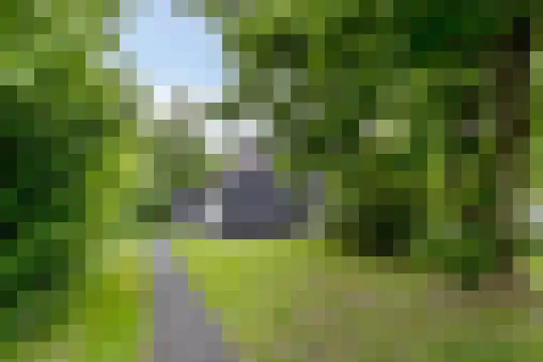 De Bloemert 1 17 Midlaren thumbnail 5