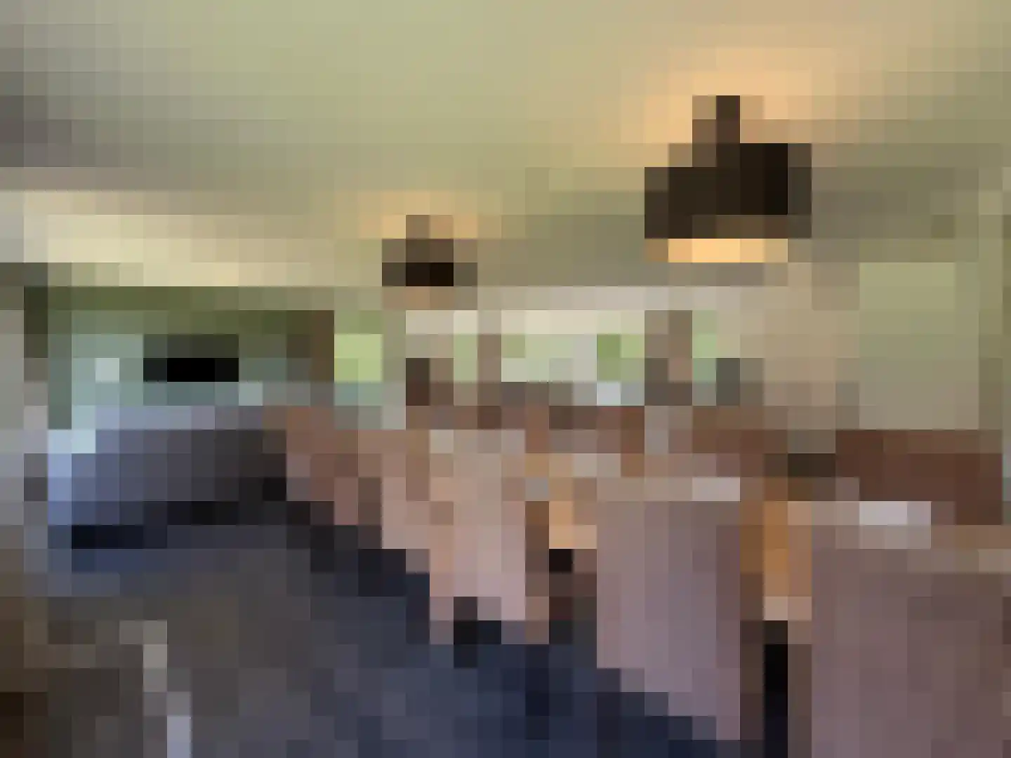 De Bloemert 1 2 Midlaren thumbnail 10