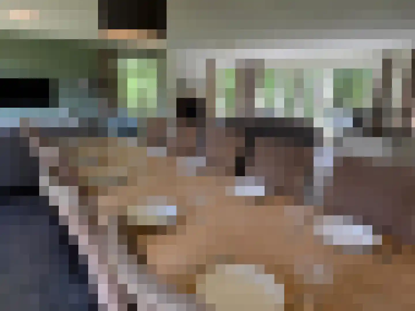 De Bloemert 1 2 Midlaren thumbnail 12