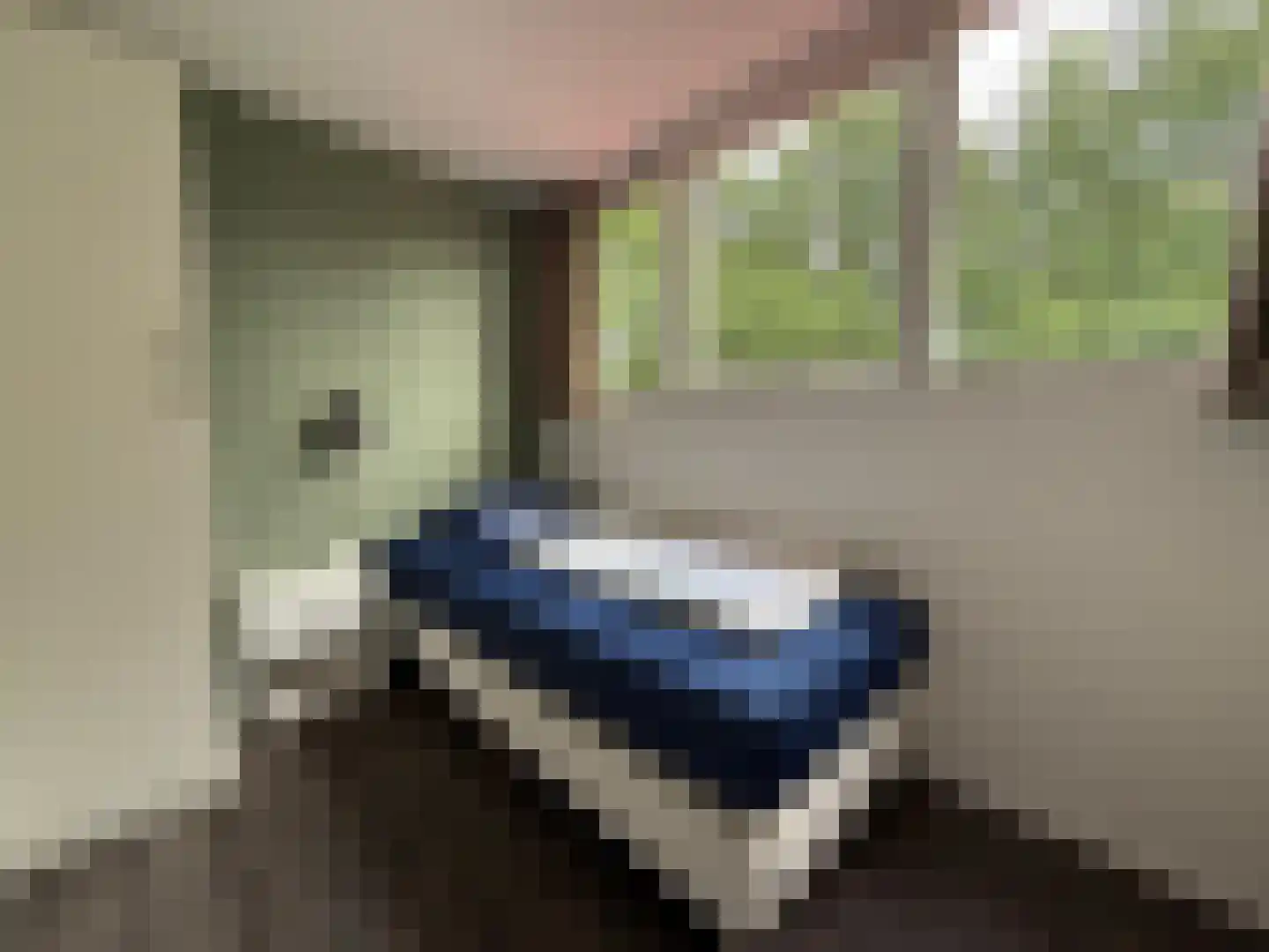 De Bloemert 1 2 Midlaren thumbnail 33