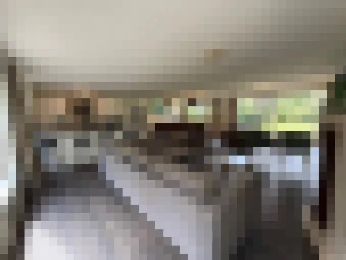 De Bloemert 1 2 Midlaren thumbnail 7