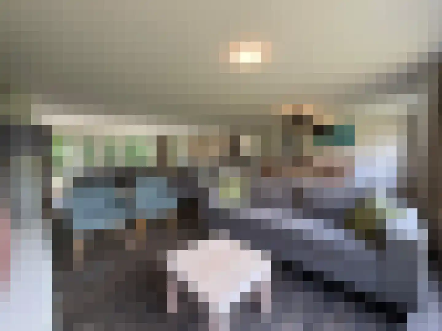 De Bloemert 1 2 Midlaren thumbnail 9