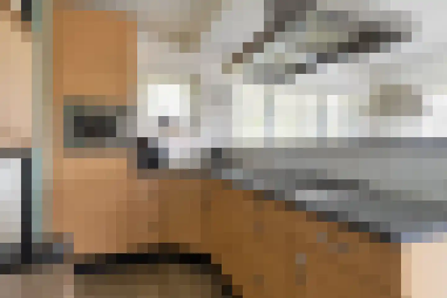 De Bloemert 1 200 Midlaren thumbnail 15