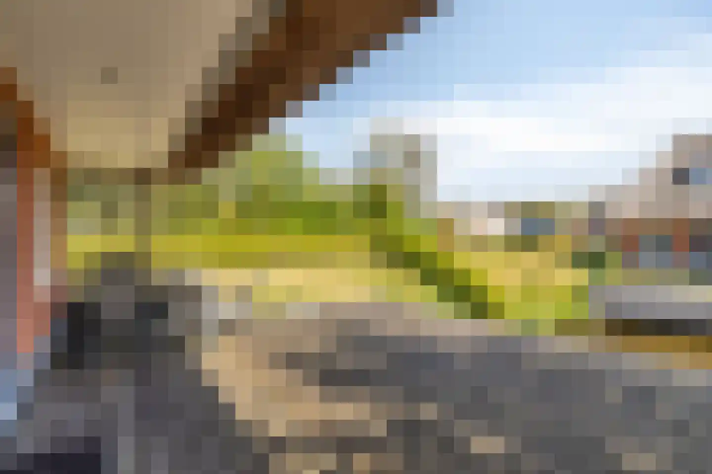 De Bloemert 1 200 Midlaren thumbnail 27