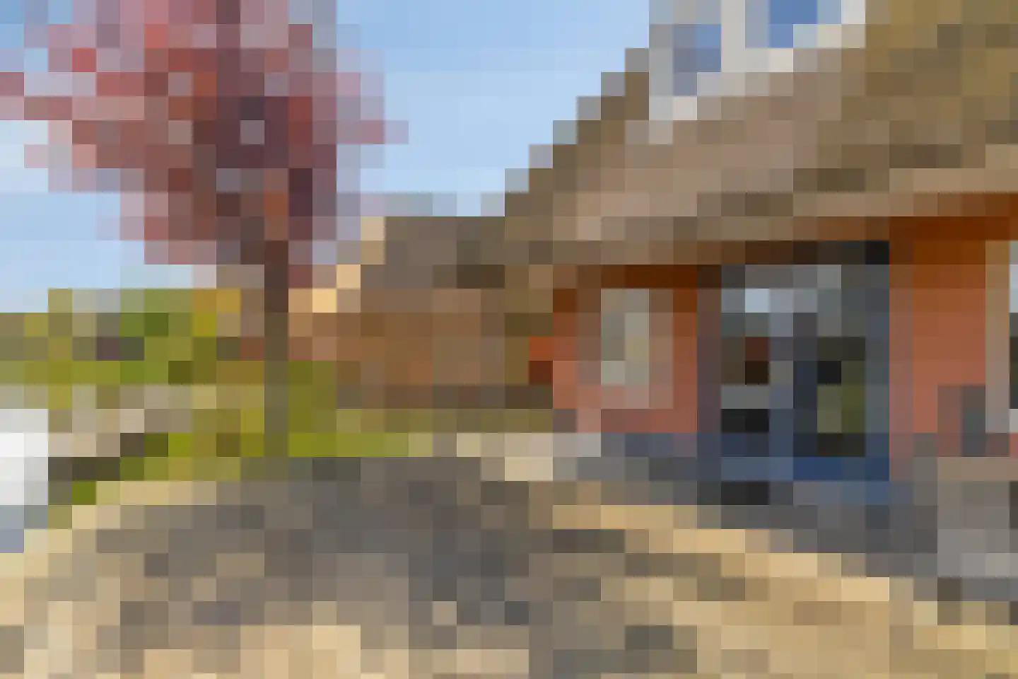 De Bloemert 1 200 Midlaren thumbnail 29