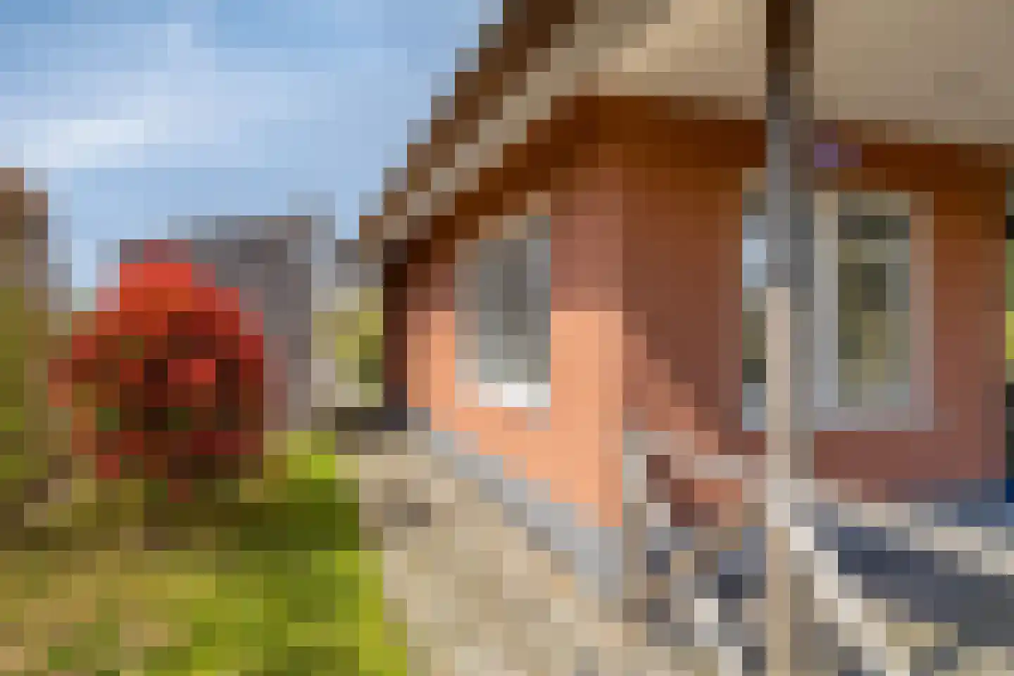 De Bloemert 1 200 Midlaren thumbnail 34