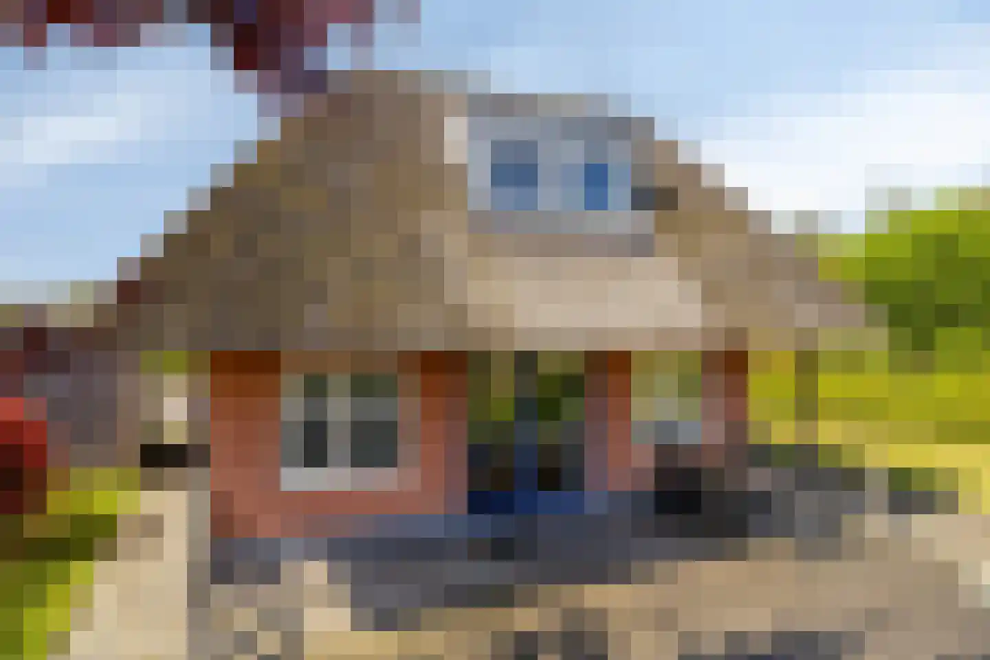 De Bloemert 1 200 Midlaren thumbnail 36