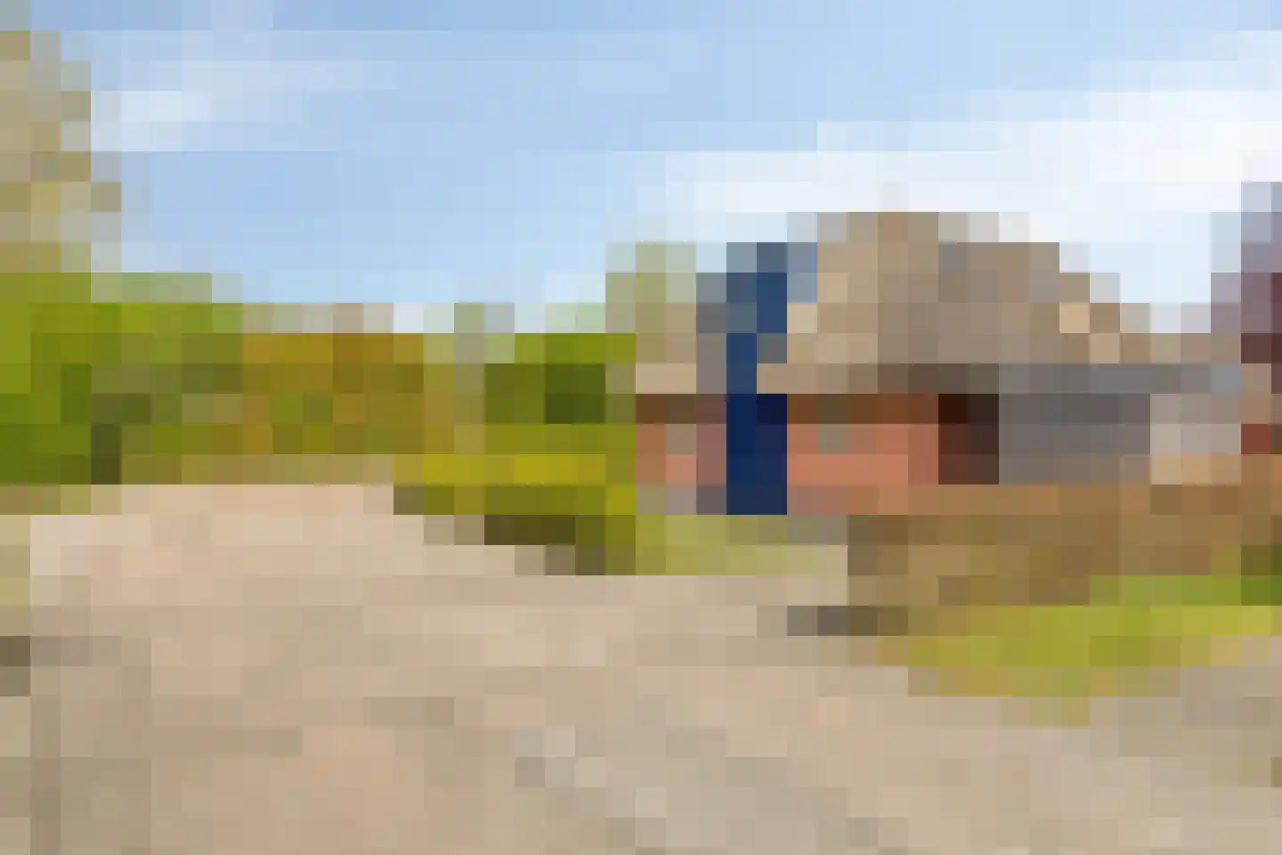De Bloemert 1 200 Midlaren thumbnail 39