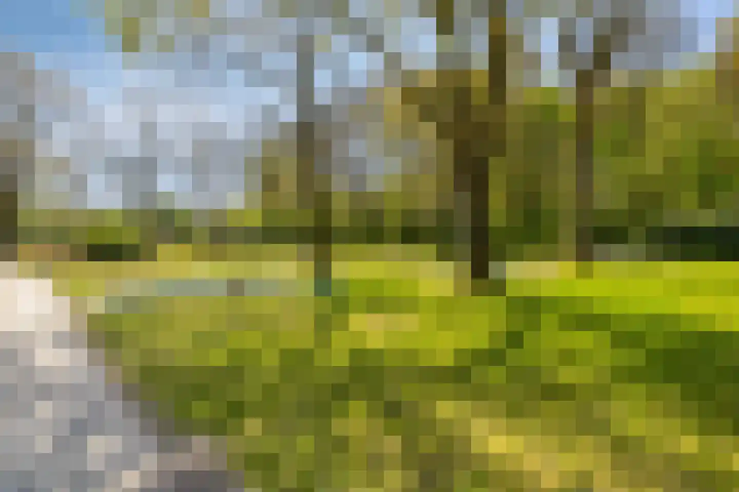 De Bloemert 1 200 Midlaren thumbnail 43
