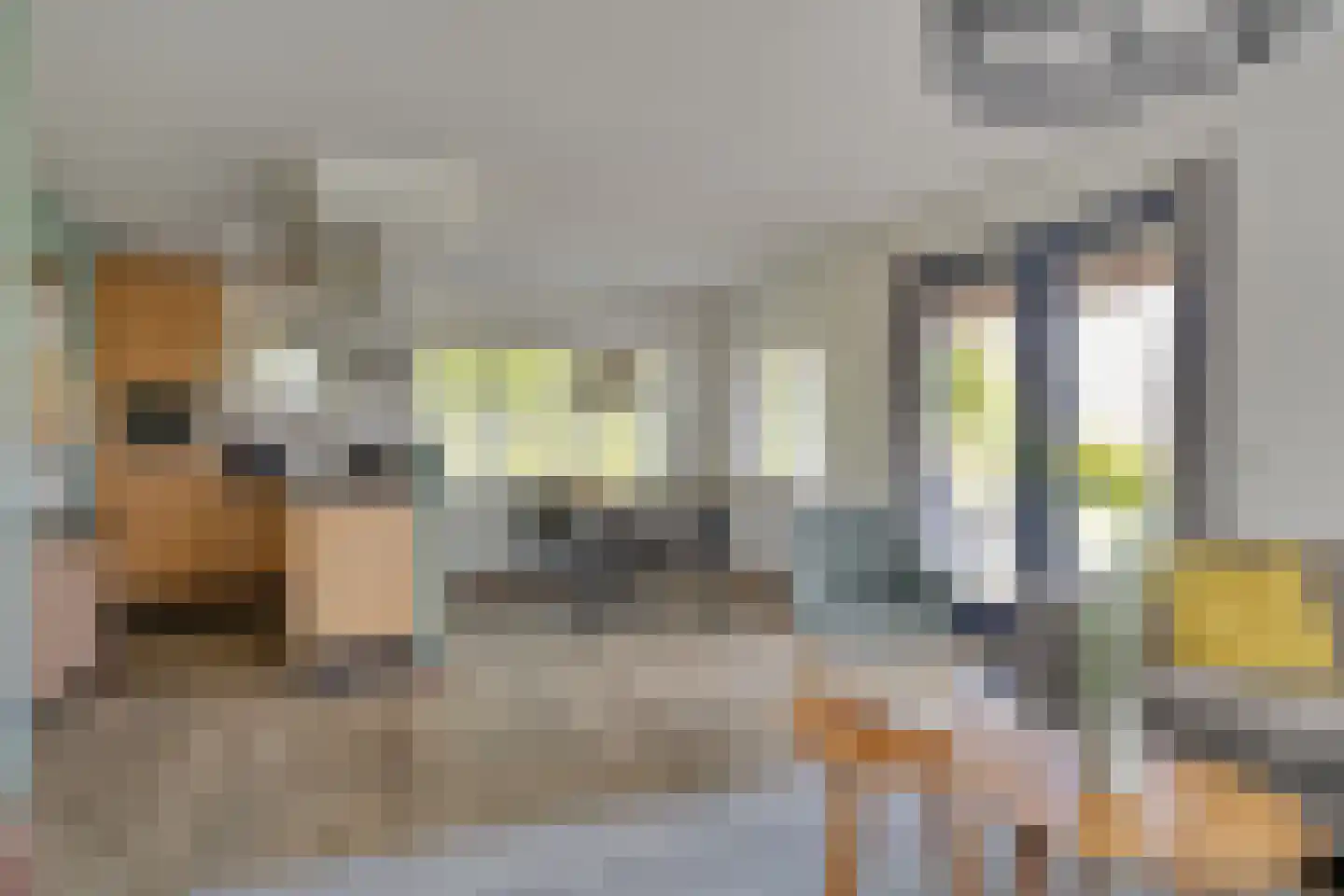 De Bloemert 1 200 Midlaren thumbnail 8