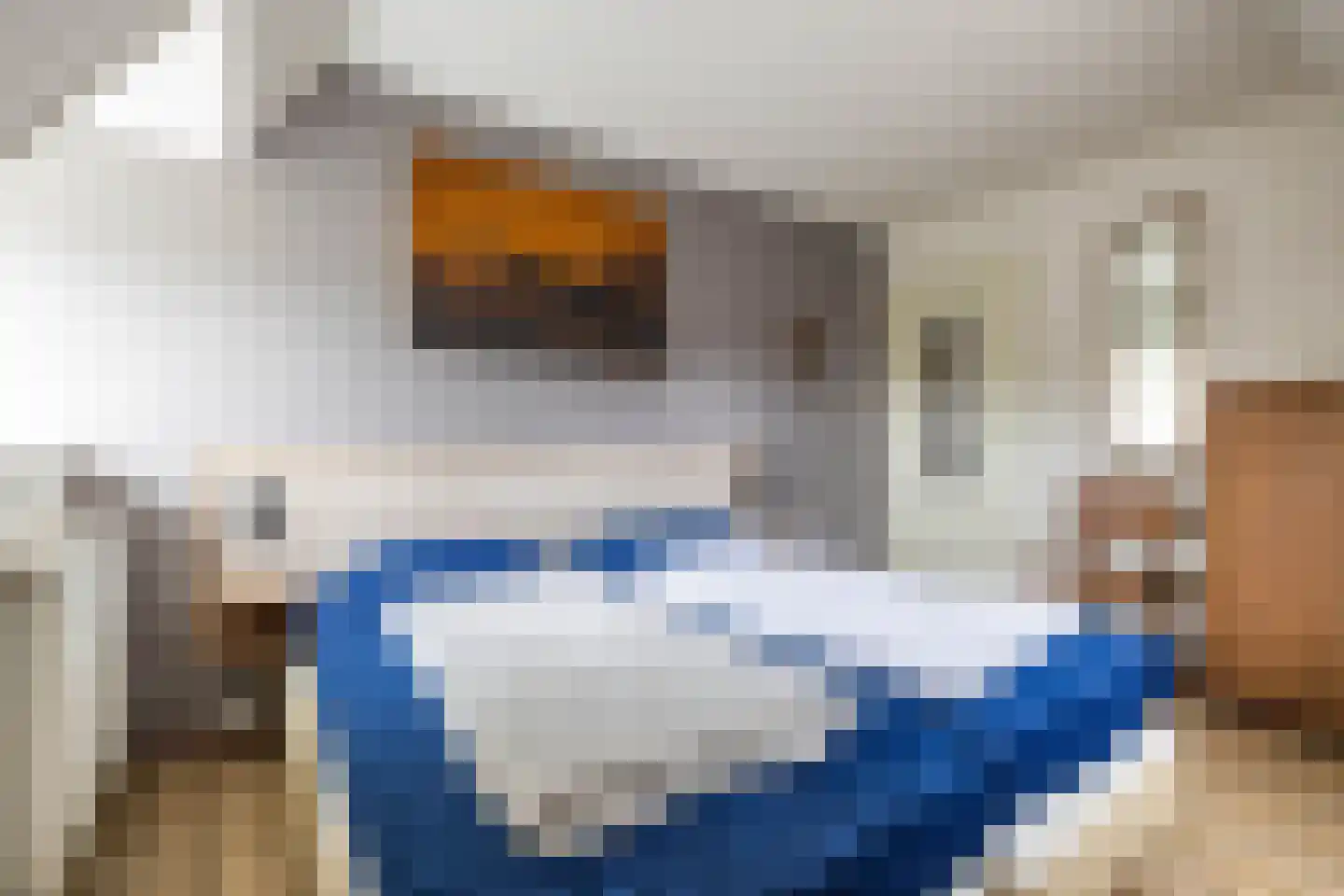 De Bloemert 1 202 Midlaren thumbnail 31