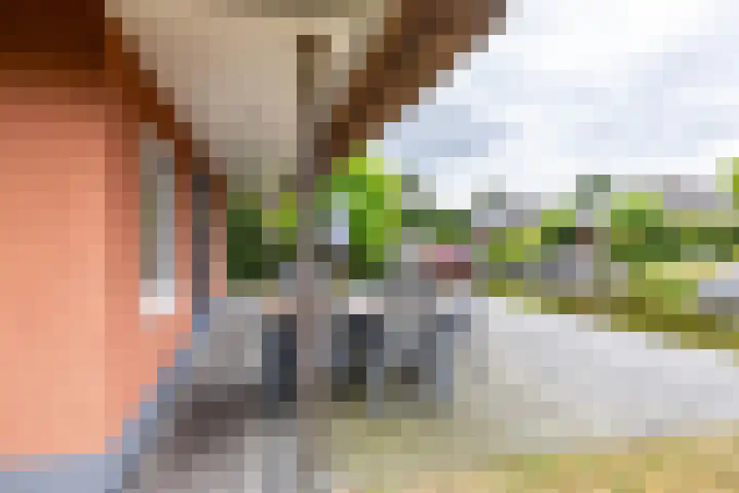 De Bloemert 1 202 Midlaren thumbnail 37