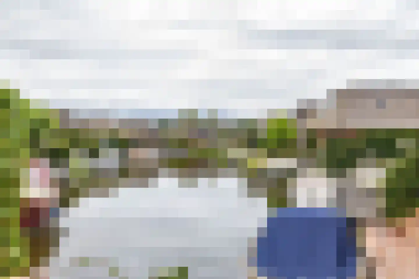 De Bloemert 1 202 Midlaren thumbnail 39