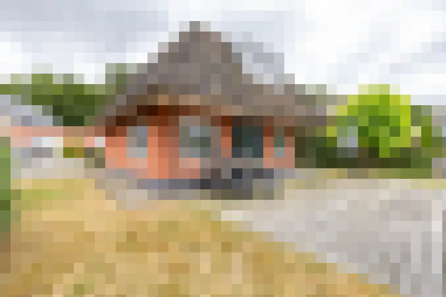 De Bloemert 1 202 Midlaren thumbnail 40