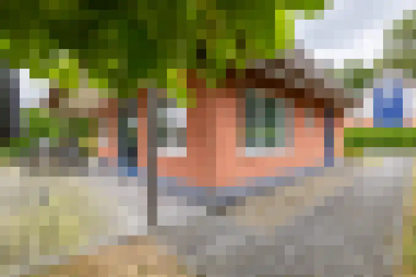 De Bloemert 1 202 Midlaren thumbnail 42