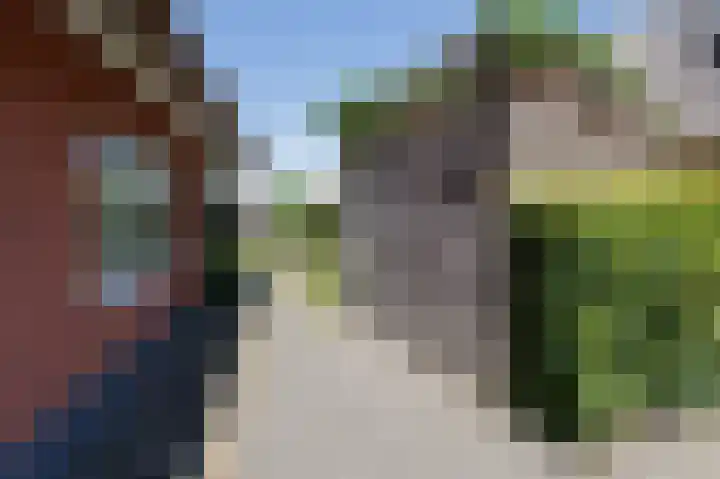 De Bloemert 1 204 Midlaren thumbnail 34