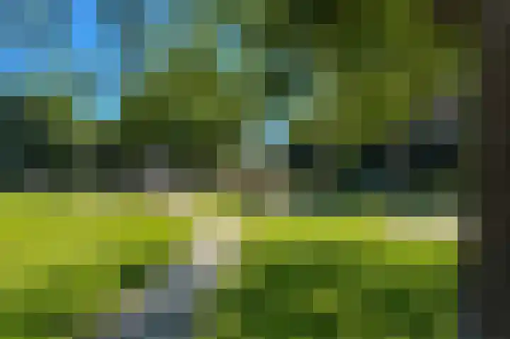 De Bloemert 1 204 Midlaren thumbnail 66