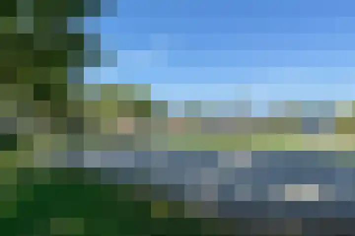 De Bloemert 1 204 Midlaren thumbnail 69