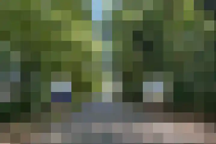De Bloemert 1 204 Midlaren thumbnail 73