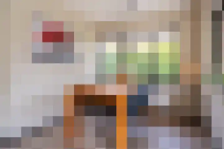De Bloemert 1 208 Midlaren thumbnail 13