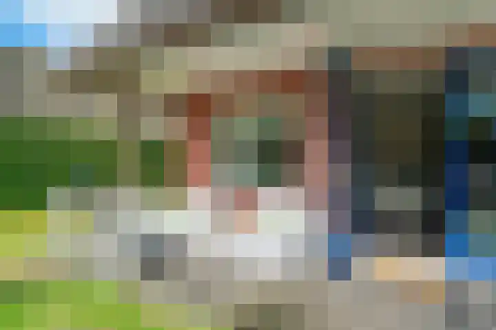 De Bloemert 1 208 Midlaren thumbnail 35