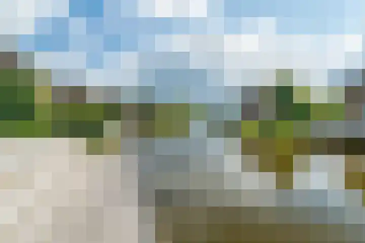 De Bloemert 1 208 Midlaren thumbnail 39