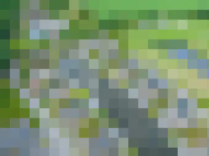De Bloemert 1 208 Midlaren thumbnail 42