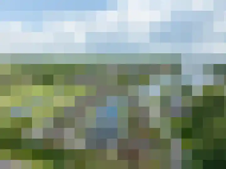 De Bloemert 1 208 Midlaren thumbnail 43