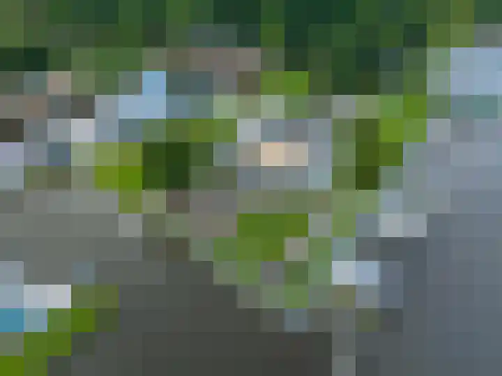 De Bloemert 1 208 Midlaren thumbnail 47