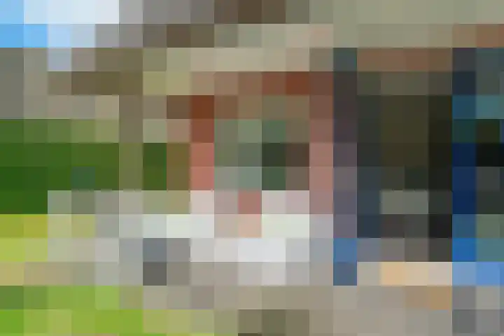 De Bloemert 1 208 Midlaren thumbnail 50