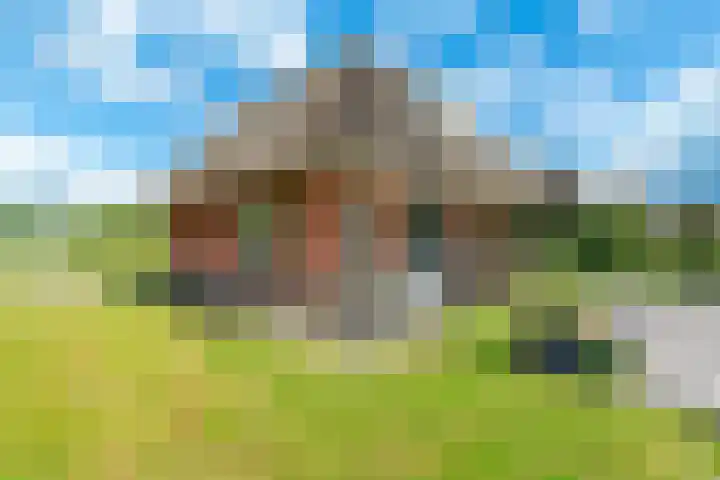 De Bloemert 1 208 Midlaren thumbnail 52