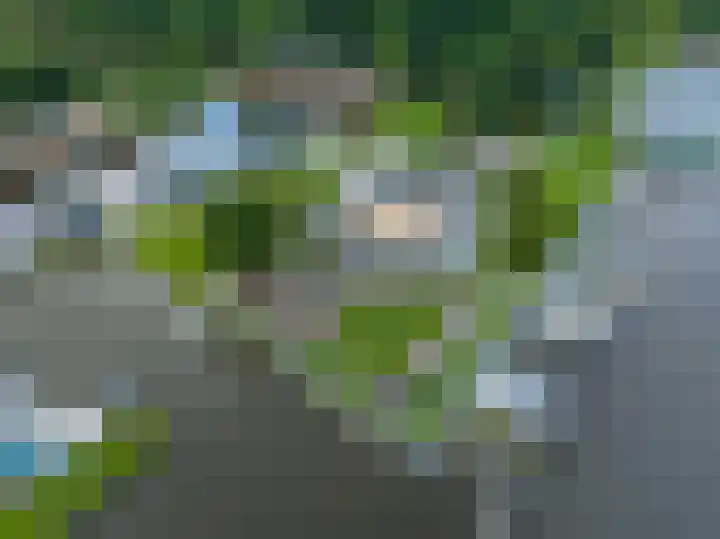 De Bloemert 1 208 Midlaren thumbnail 61