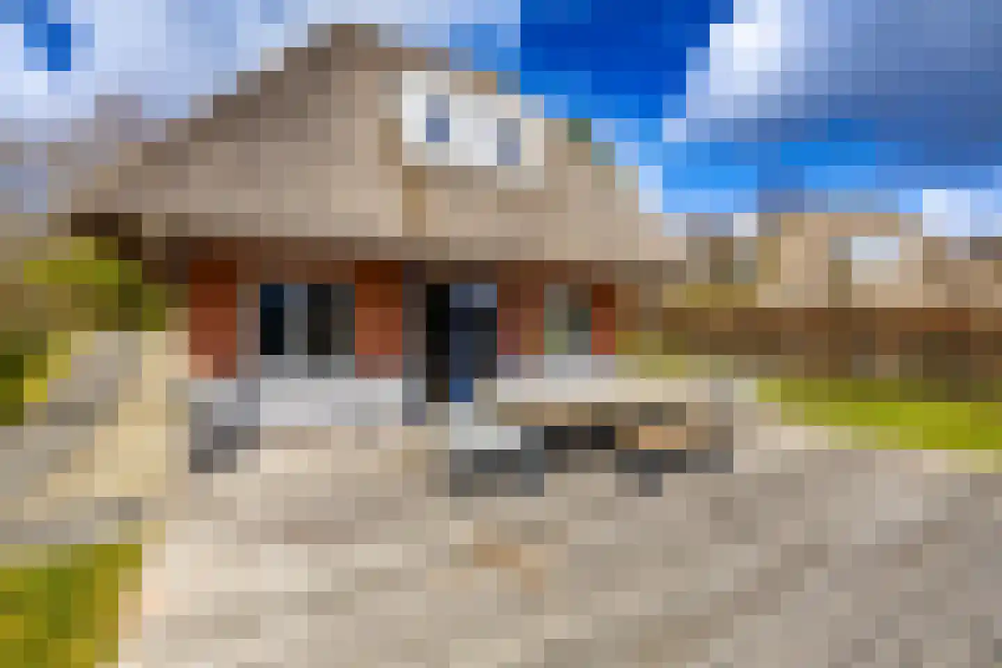 De Bloemert 1 246 Midlaren thumbnail 31