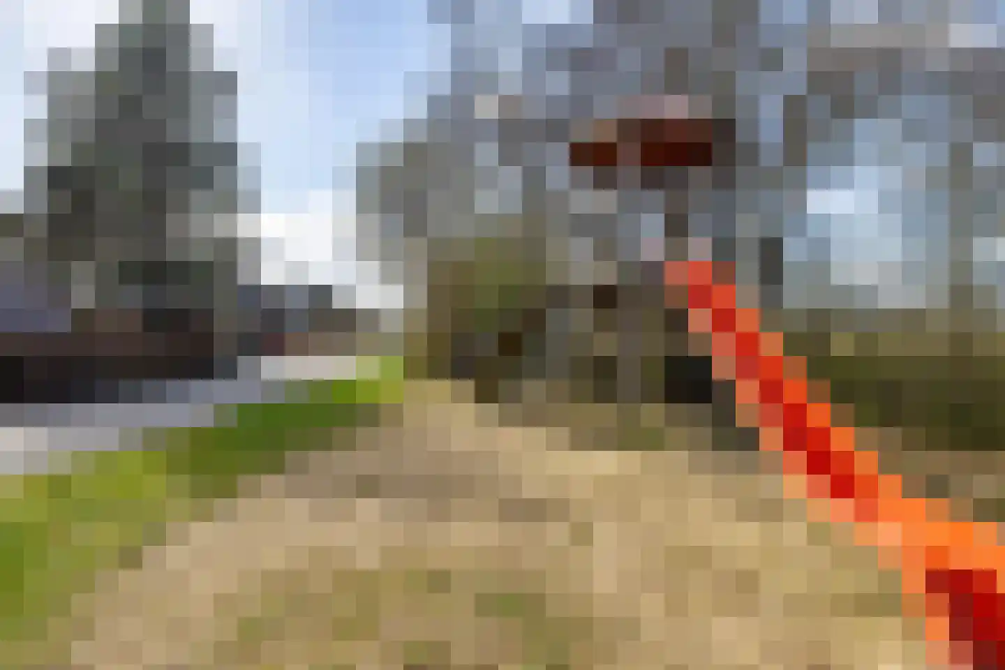 De Bloemert 1 246 Midlaren thumbnail 40
