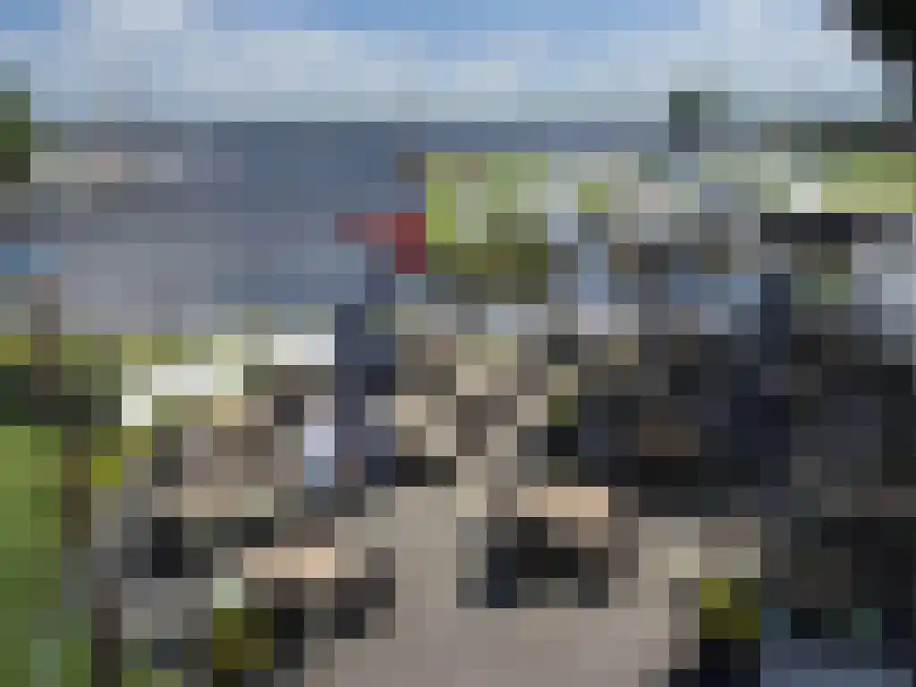 De Bloemert 1 246 Midlaren thumbnail 42