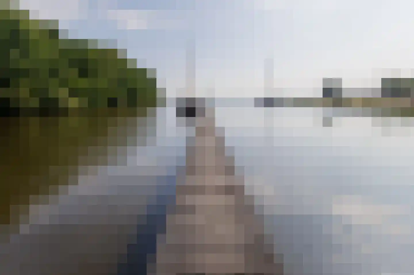 De Bloemert 1 306 Midlaren thumbnail 60