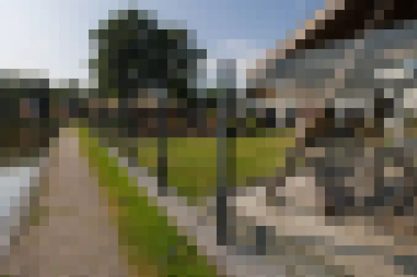 De Bloemert 1 306 Midlaren thumbnail 61