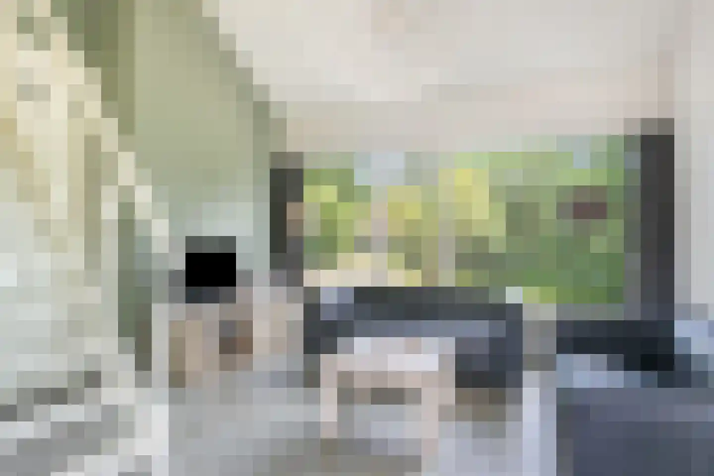 De Bloemert 1 31 Midlaren thumbnail 8
