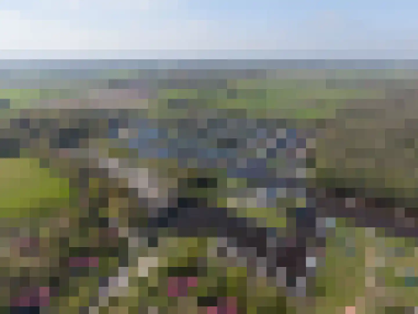 De Bloemert 1 46 Midlaren thumbnail 30