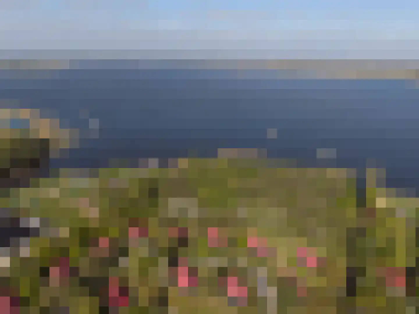 De Bloemert 1 46 Midlaren thumbnail 32