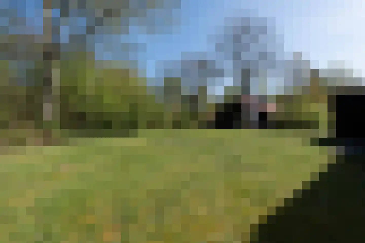 De Bloemert 1 46 Midlaren thumbnail 9