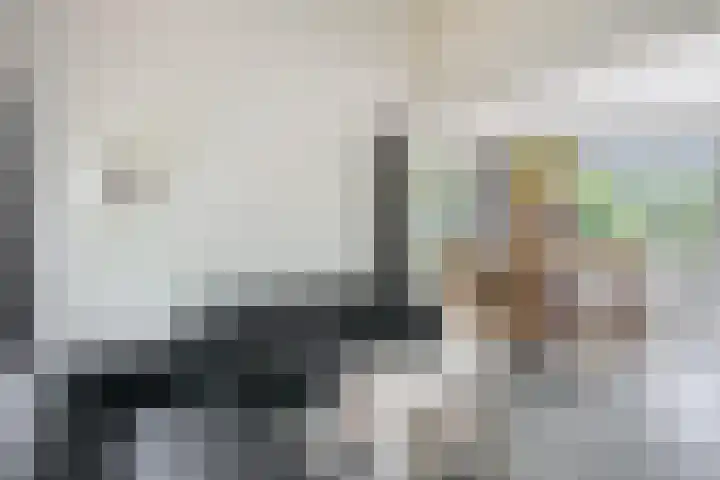 De Bloemert 1 47 Midlaren thumbnail 12